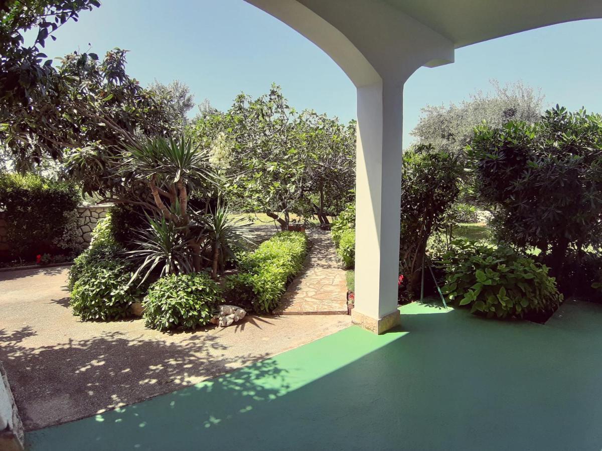 F• R• I• E• N• D• S• Bed & Breakfast Novalja Bagian luar foto